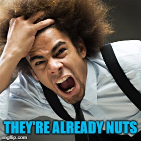 Rage | THEY'RE ALREADY NUTS | image tagged in rage | made w/ Imgflip meme maker