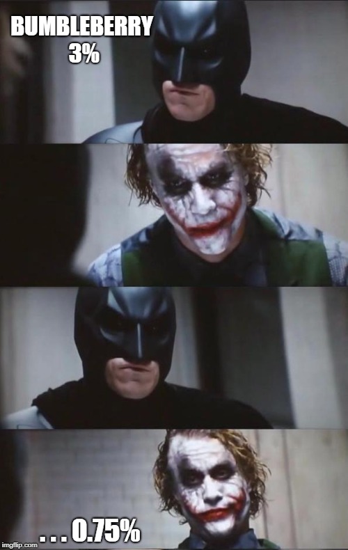 Batman and Joker | BUMBLEBERRY
 3%; . . . 0.75% | image tagged in batman and joker | made w/ Imgflip meme maker