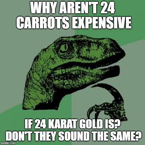 Philosoraptor | WHY AREN'T 24 CARROTS EXPENSIVE; IF 24 KARAT GOLD IS? DON'T THEY SOUND THE SAME? | image tagged in memes,philosoraptor | made w/ Imgflip meme maker