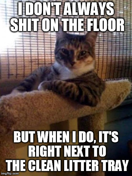 The Most Interesting Cat In The World Meme | image tagged in memes,the most interesting cat in the world | made w/ Imgflip meme maker