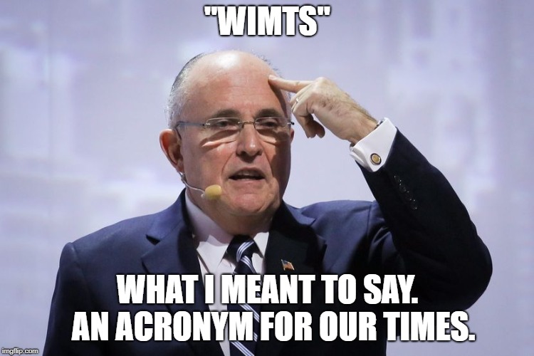 Rudy Giuliani | "WIMTS"; WHAT I MEANT TO SAY.  AN ACRONYM FOR OUR TIMES. | image tagged in rudy giuliani | made w/ Imgflip meme maker