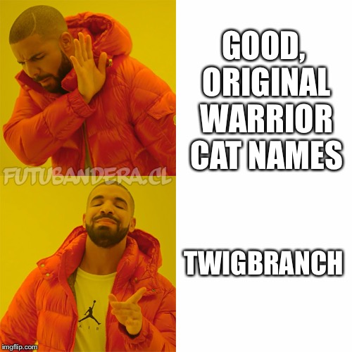 Drake Hotline Bling | GOOD, ORIGINAL WARRIOR CAT NAMES; TWIGBRANCH | image tagged in drake | made w/ Imgflip meme maker