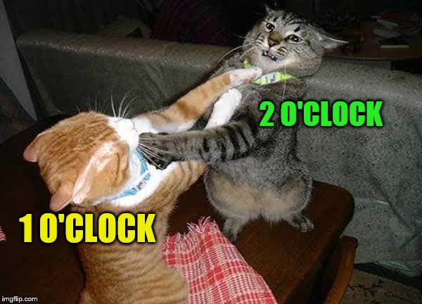 Two cats fighting for real | 1 O'CLOCK 2 O'CLOCK | image tagged in two cats fighting for real | made w/ Imgflip meme maker