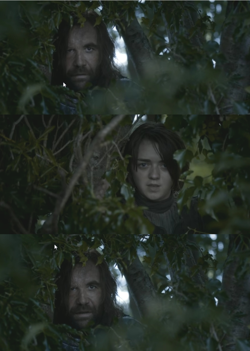 High Quality HoundAryaStark Blank Meme Template