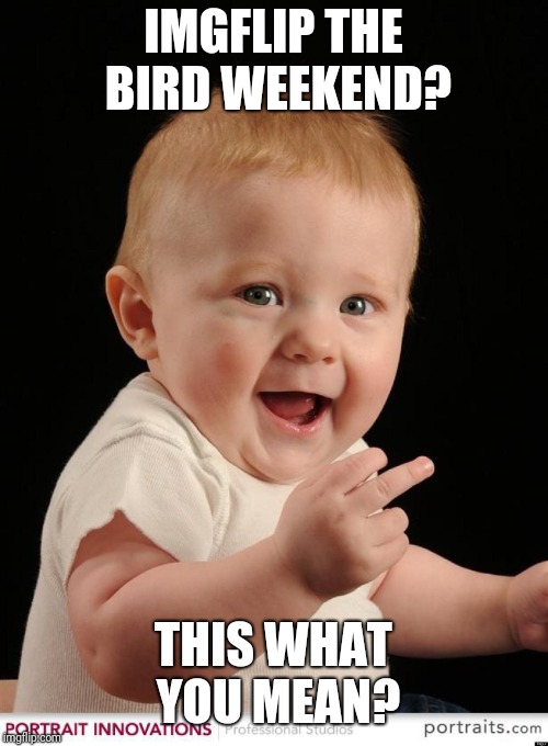 Baby flip off | IMGFLIP THE BIRD WEEKEND? THIS WHAT YOU MEAN? | image tagged in baby flip off | made w/ Imgflip meme maker