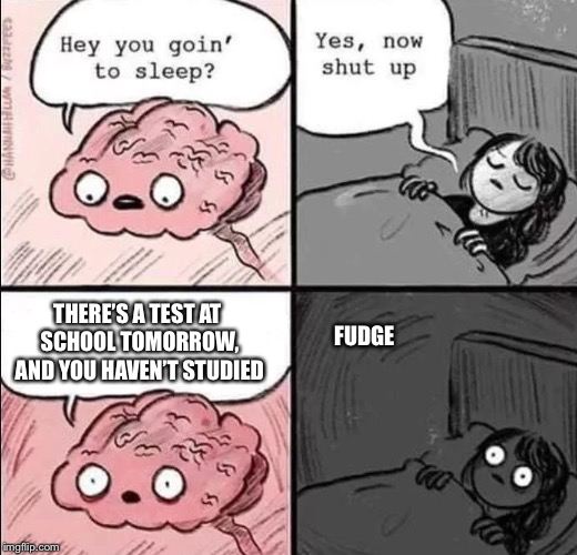 Me on Sunday Night | THERE’S A TEST AT SCHOOL TOMORROW, AND YOU HAVEN’T STUDIED; FUDGE | image tagged in waking up brain,help | made w/ Imgflip meme maker