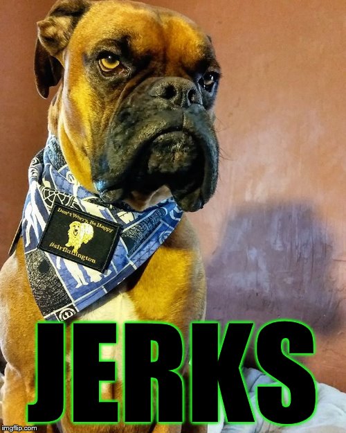 Grumpy Dog | JERKS | image tagged in grumpy dog | made w/ Imgflip meme maker