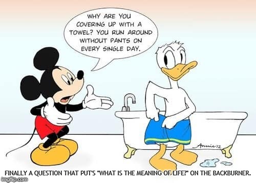 A "Pants Optional, Towel Mandatory" Meme | FINALLY A QUESTION THAT PUT'S "WHAT IS THE MEANING OF LIFE?" ON THE BACKBURNER. | image tagged in memes,donald duck,mickey mouse,towel,meaning of life | made w/ Imgflip meme maker