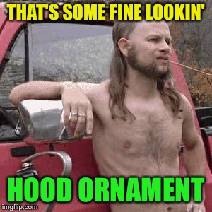 HillBilly | THAT'S SOME FINE LOOKIN' HOOD ORNAMENT | image tagged in hillbilly | made w/ Imgflip meme maker
