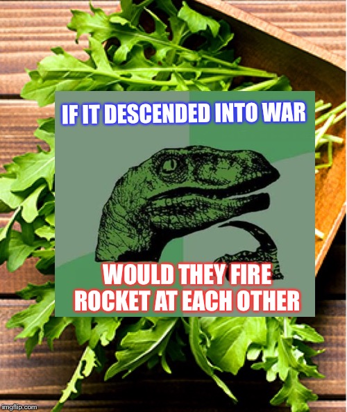IF IT DESCENDED INTO WAR WOULD THEY FIRE ROCKET AT EACH OTHER | made w/ Imgflip meme maker