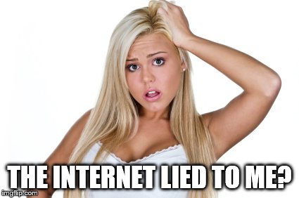 Dumb Blonde | THE INTERNET LIED TO ME? | image tagged in dumb blonde | made w/ Imgflip meme maker