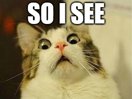 shocked cat | SO I SEE | image tagged in shocked cat | made w/ Imgflip meme maker