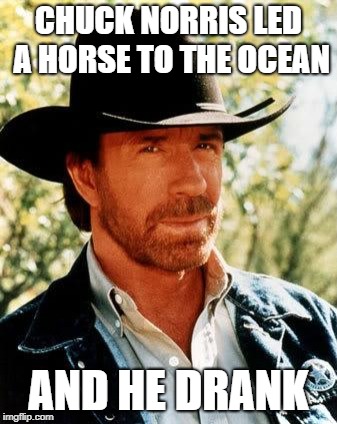 It was a drink or die situation | CHUCK NORRIS LED A HORSE TO THE OCEAN; AND HE DRANK | image tagged in memes,chuck norris,horse,funny,ocean,drink | made w/ Imgflip meme maker