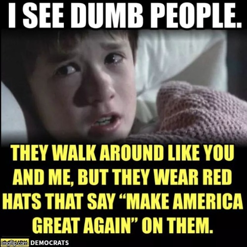 Memes  | image tagged in donald trump,impeach trump | made w/ Imgflip meme maker