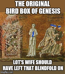 Netflix Original?  | THE ORIGINAL BIRD BOX OF GENESIS; LOT'S WIFE SHOULD HAVE LEFT THAT BLINDFOLD ON | image tagged in bird box,bible,meme | made w/ Imgflip meme maker