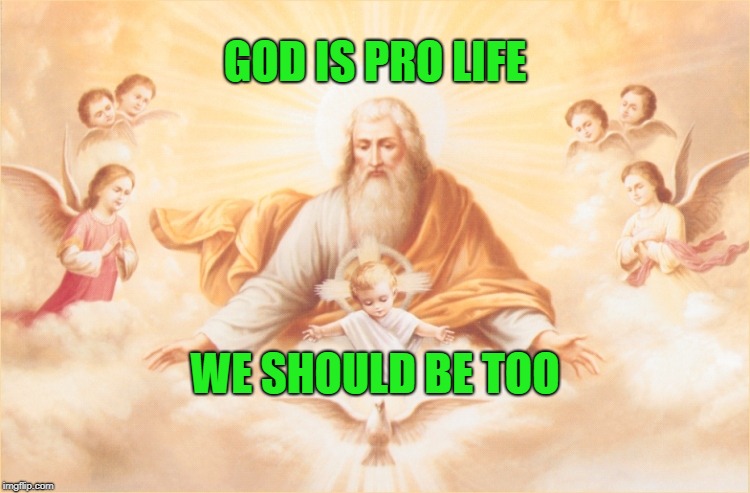God is pro life, we should be too | GOD IS PRO LIFE; WE SHOULD BE TOO | image tagged in political meme,memes,god,pro life,abortion ends a life,god is pro life | made w/ Imgflip meme maker