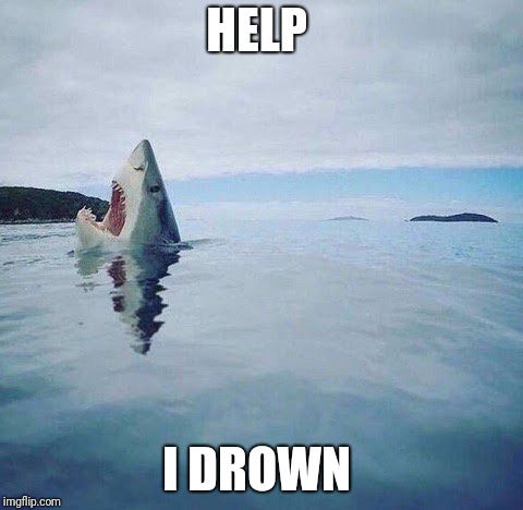 shark_head_out_of_water | HELP; I DROWN | image tagged in shark_head_out_of_water | made w/ Imgflip meme maker