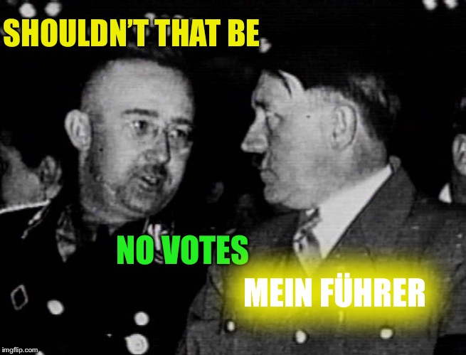 Grammar Nazis Himmler and Hitler | NO VOTES SHOULDN’T THAT BE MEIN FÜHRER | image tagged in grammar nazis himmler and hitler | made w/ Imgflip meme maker