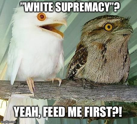 Repost of my previous image (bigger, and now a public template as well) | ”WHITE SUPREMACY”? YEAH, FEED ME FIRST?! | image tagged in albino owl,bird weekend | made w/ Imgflip meme maker