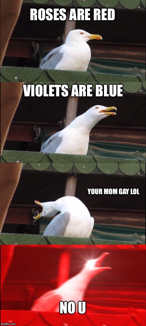Inhaling Seagull | ROSES ARE RED; VIOLETS ARE BLUE; YOUR MOM GAY LOL; NO U | image tagged in memes,inhaling seagull | made w/ Imgflip meme maker