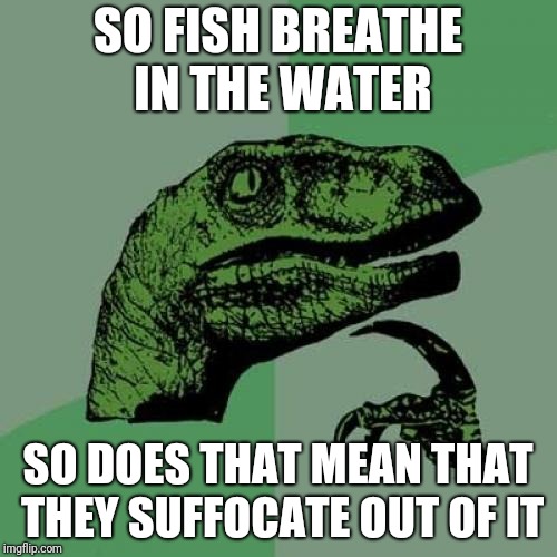 Hmmmmm | SO FISH BREATHE IN THE WATER; SO DOES THAT MEAN THAT THEY SUFFOCATE OUT OF IT | image tagged in memes,philosoraptor,fish,breathe,water,air | made w/ Imgflip meme maker