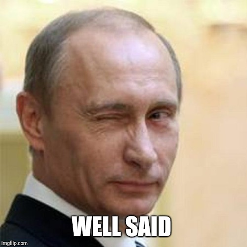 Putin Wink | WELL SAID | image tagged in putin wink | made w/ Imgflip meme maker