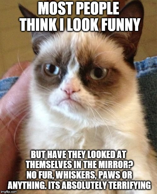 Grumpy Cat | MOST PEOPLE THINK I LOOK FUNNY; BUT HAVE THEY LOOKED AT THEMSELVES IN THE MIRROR? NO FUR, WHISKERS, PAWS OR ANYTHING. ITS ABSOLUTELY TERRIFYING | image tagged in memes,grumpy cat | made w/ Imgflip meme maker