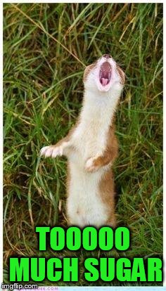Screaming Weasel | TOOOOO MUCH SUGAR | image tagged in screaming weasel | made w/ Imgflip meme maker