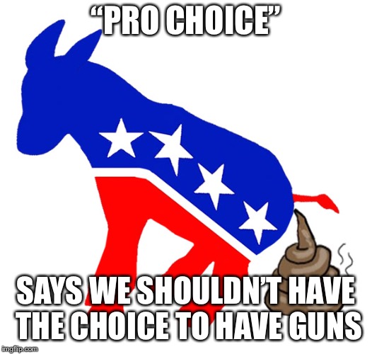 Democrat donkey pooping | “PRO CHOICE”; SAYS WE SHOULDN’T HAVE THE CHOICE TO HAVE GUNS | image tagged in democrat donkey pooping | made w/ Imgflip meme maker