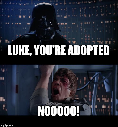 darth Vader to luke | LUKE, YOU'RE ADOPTED; NOOOOO! | image tagged in memes,star wars no | made w/ Imgflip meme maker
