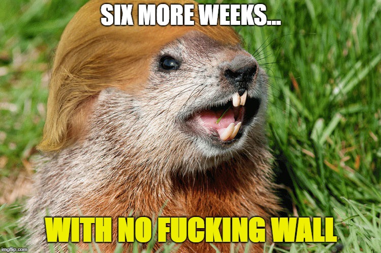 Trump on Groundhog Day | SIX MORE WEEKS... WITH NO FUCKING WALL | image tagged in trump ground hog,border wall,immigration,immigrants,dreamers,republicans | made w/ Imgflip meme maker