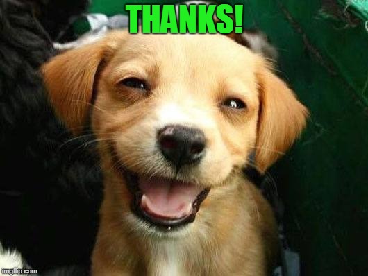 smiling dog | THANKS! | image tagged in smiling dog | made w/ Imgflip meme maker