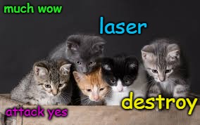 Cute cat doge meme | much wow; laser; destroy; attack yes | image tagged in doge,cat,kitten,attack,funny,laser | made w/ Imgflip meme maker