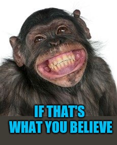 IF THAT'S WHAT YOU BELIEVE | image tagged in grinning chimp | made w/ Imgflip meme maker