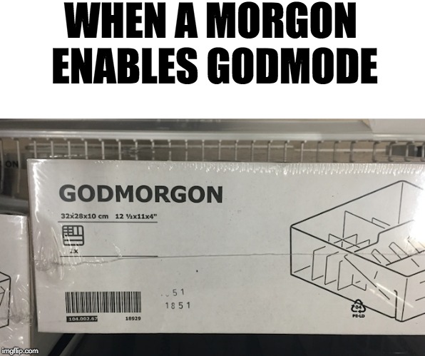 The Swedish VideoGame Boss | WHEN A MORGON ENABLES GODMODE | image tagged in memes,funny,ikea,morgon,godmode | made w/ Imgflip meme maker