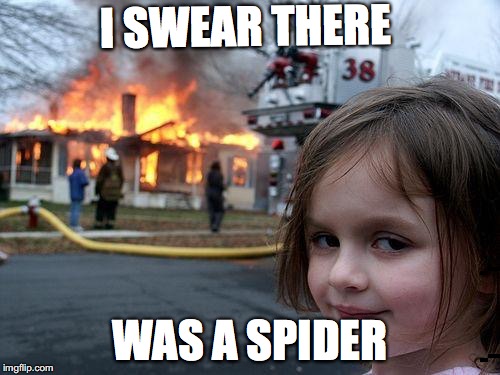 Disaster Girl Meme | I SWEAR THERE; WAS A SPIDER | image tagged in memes,disaster girl | made w/ Imgflip meme maker