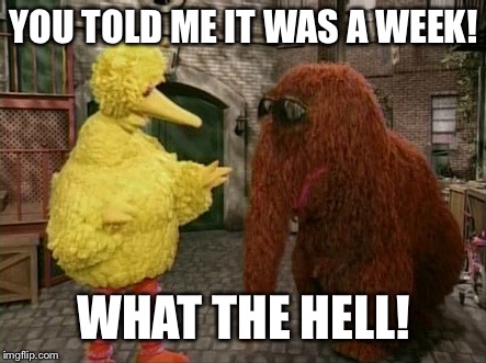 Big Bird And Snuffy Meme | YOU TOLD ME IT WAS A WEEK! WHAT THE HELL! | image tagged in memes,big bird and snuffy | made w/ Imgflip meme maker