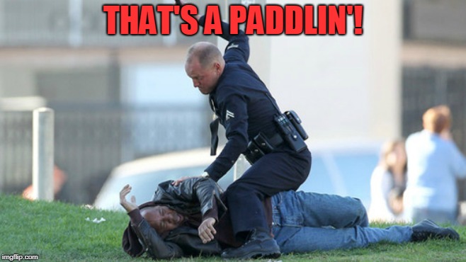 Cop Beating | THAT'S A PADDLIN'! | image tagged in cop beating | made w/ Imgflip meme maker