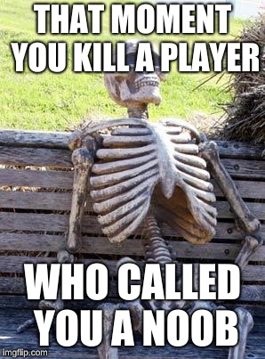 Waiting Skeleton | THAT MOMENT YOU KILL A PLAYER; WHO CALLED YOU A NOOB | image tagged in memes,waiting skeleton | made w/ Imgflip meme maker