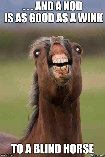 horse face | . . . AND A NOD IS AS GOOD AS A WINK TO A BLIND HORSE | image tagged in horse face | made w/ Imgflip meme maker