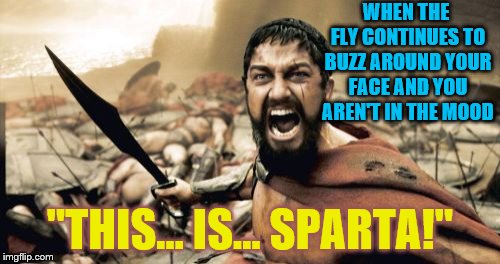 Sparta Leonidas | WHEN THE FLY CONTINUES TO BUZZ AROUND YOUR FACE AND YOU AREN'T IN THE MOOD; "THIS... IS... SPARTA!" | image tagged in memes,sparta leonidas | made w/ Imgflip meme maker