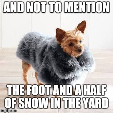 I'm in this big ass coat... | AND NOT TO MENTION THE FOOT AND A HALF OF SNOW IN THE YARD | image tagged in i'm in this big ass coat | made w/ Imgflip meme maker