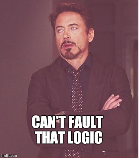 iron man eye roll | CAN'T FAULT THAT LOGIC | image tagged in iron man eye roll | made w/ Imgflip meme maker