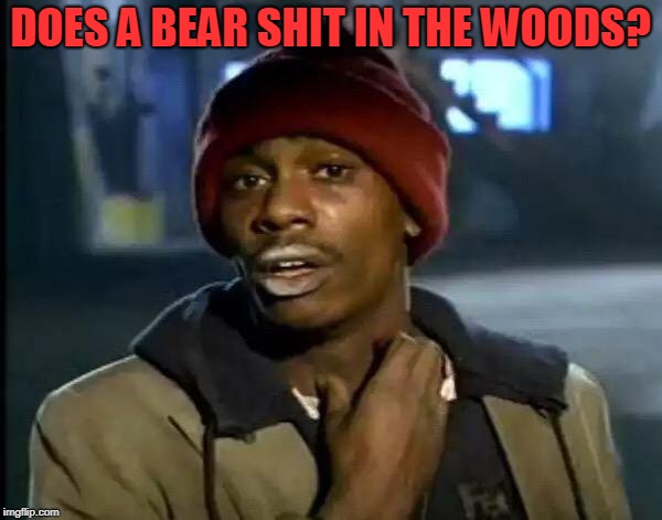 Y'all Got Any More Of That Meme | DOES A BEAR SHIT IN THE WOODS? | image tagged in memes,y'all got any more of that | made w/ Imgflip meme maker
