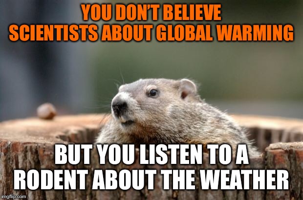 Groundhog | YOU DON’T BELIEVE SCIENTISTS ABOUT GLOBAL WARMING; BUT YOU LISTEN TO A RODENT ABOUT THE WEATHER | image tagged in groundhog | made w/ Imgflip meme maker