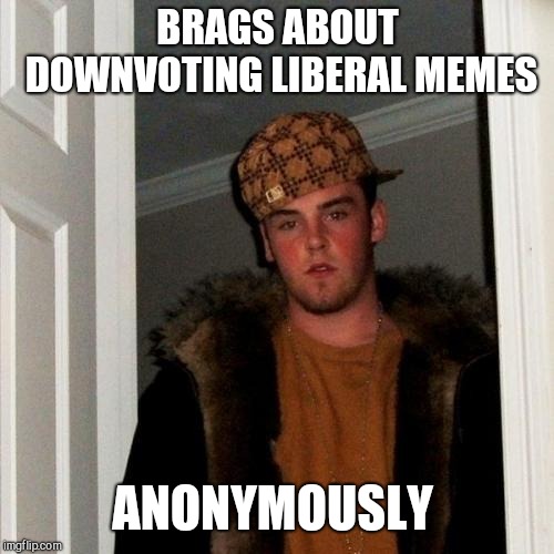 Scumbag Steve Meme | BRAGS ABOUT DOWNVOTING LIBERAL MEMES ANONYMOUSLY | image tagged in memes,scumbag steve | made w/ Imgflip meme maker