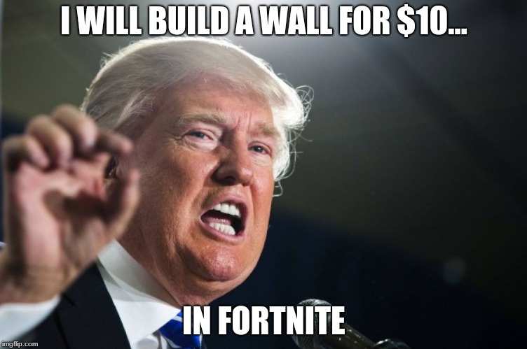 Trump playing Fortnite | I WILL BUILD A WALL FOR $10... IN FORTNITE | image tagged in donald trump,wall,fortnite,build a wall | made w/ Imgflip meme maker