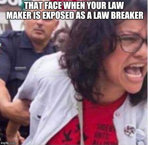 Congresswoman and criminal Rashida Harbi Tlaib | THAT FACE WHEN YOUR LAW MAKER IS EXPOSED AS A LAW BREAKER | image tagged in congresswoman and criminal rashida harbi tlaib,impeach tlaib,criminal | made w/ Imgflip meme maker