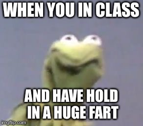 Kermit Cringe | WHEN YOU IN CLASS; AND HAVE HOLD IN A HUGE FART | image tagged in kermit cringe | made w/ Imgflip meme maker