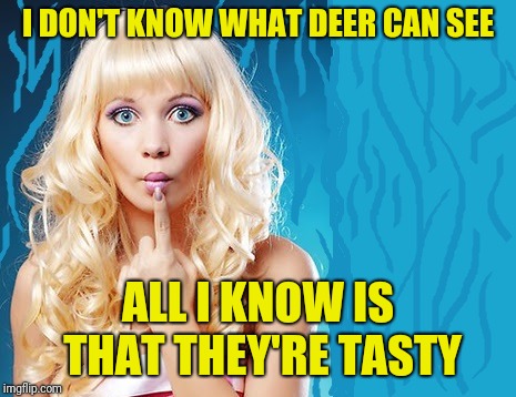 ditzy blonde | I DON'T KNOW WHAT DEER CAN SEE ALL I KNOW IS THAT THEY'RE TASTY | image tagged in ditzy blonde | made w/ Imgflip meme maker